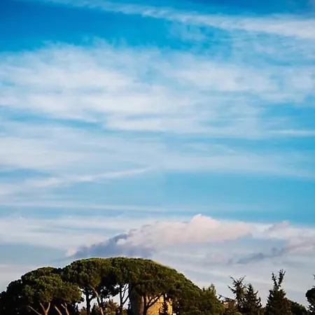 Vatican Skyline Rome